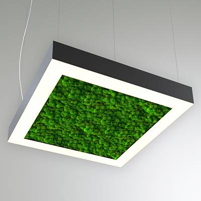 RVE-LBX-MOSS-BOX