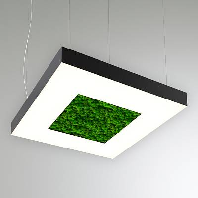 RVE-LBX-MOSS-CUBO