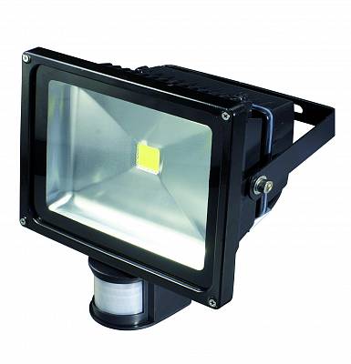 BR-FL-30W-PIR White