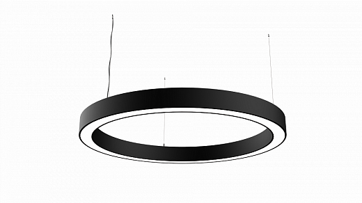 ORTUS HALO