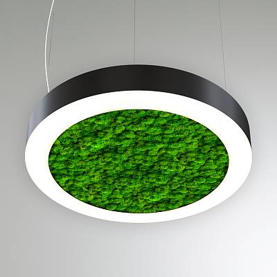 RVE-LBX-MOSS-RING