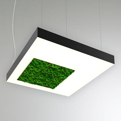 RVE-LBX-MOSS-CUBO-S