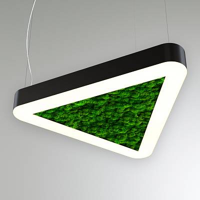 RVE-LBX-MOSS-TRIO-SOFT