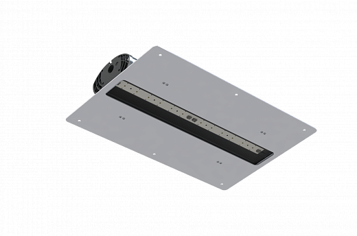 D-Petrol 60