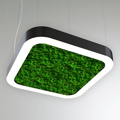 RVE-LBX-MOSS-BOX-SOFT