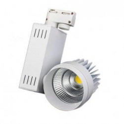 LGD-538WH 25W Day White