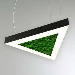RVE-LBX-MOSS-TRIO