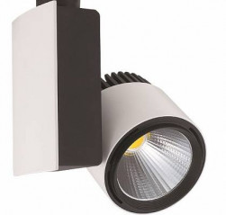 HL829L серебро