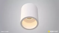 ATOMA 04