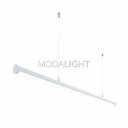 MODALINE T40